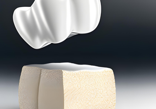 teeth