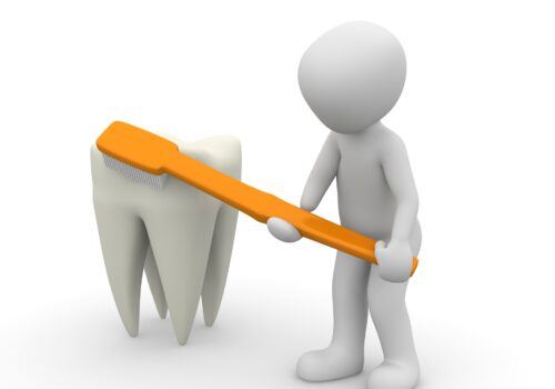 teeth